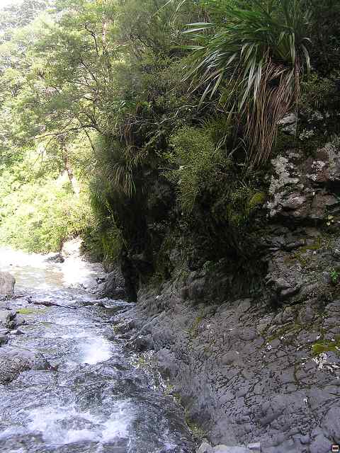 Ruahine - Sunrise Hut 089.jpg
